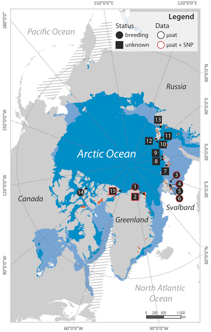 Map of Arctic sampling sites for an ivory gull demographic study