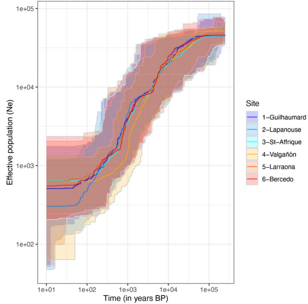 Effective population size through time for several Ophrys aveyronensis populations
