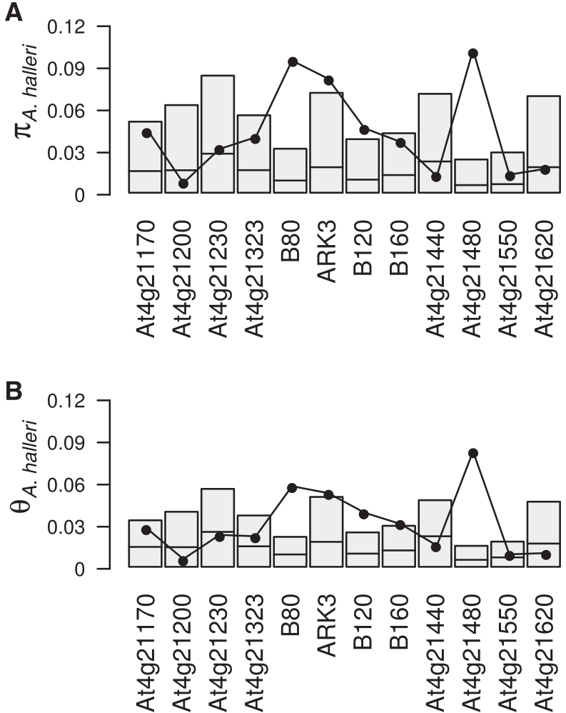 Nucleotide diversity and divergence patterns around the S-locus in Arabidopsis