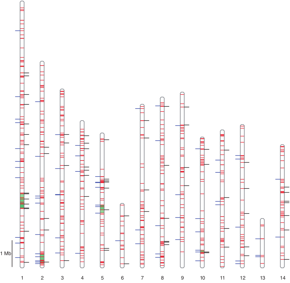 Chromosome map showing genomic hotspots of introgression in Ciona