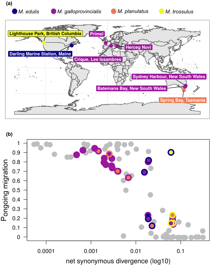Map and divergence plot illustrating demographic inference with DILS