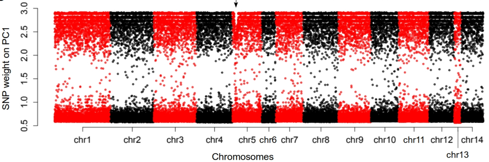 Genomic scan showing a localized introgression hotspot in Ciona