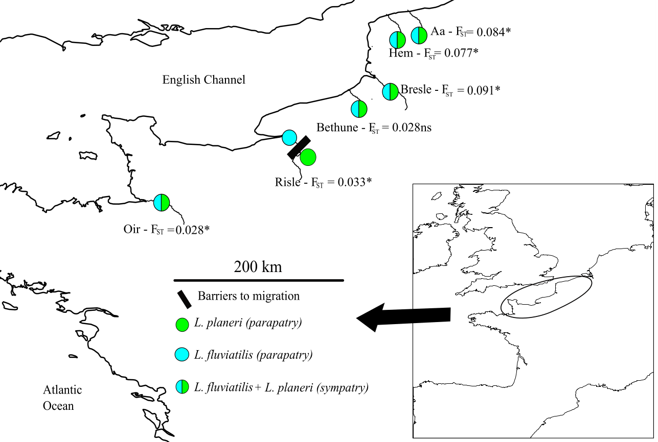 Map of European river and brook lamprey sampling sites