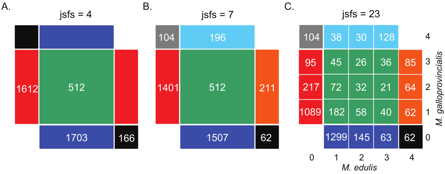 Joint site frequency spectrum summaries used for ABC inference in blue mussels